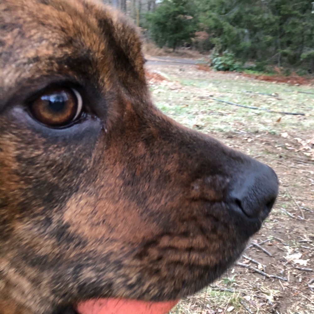 Meet your Posher, Andrew